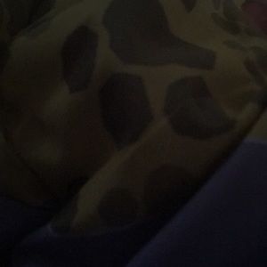 Meet your Posher, Shanta